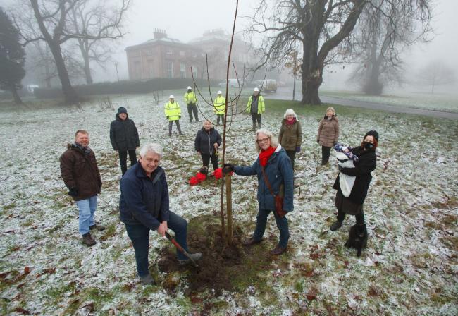 14 cherry trees were planted along the driveway to Aikenhead House, replacing some of the beautiful trees that were lost in the drainage works.